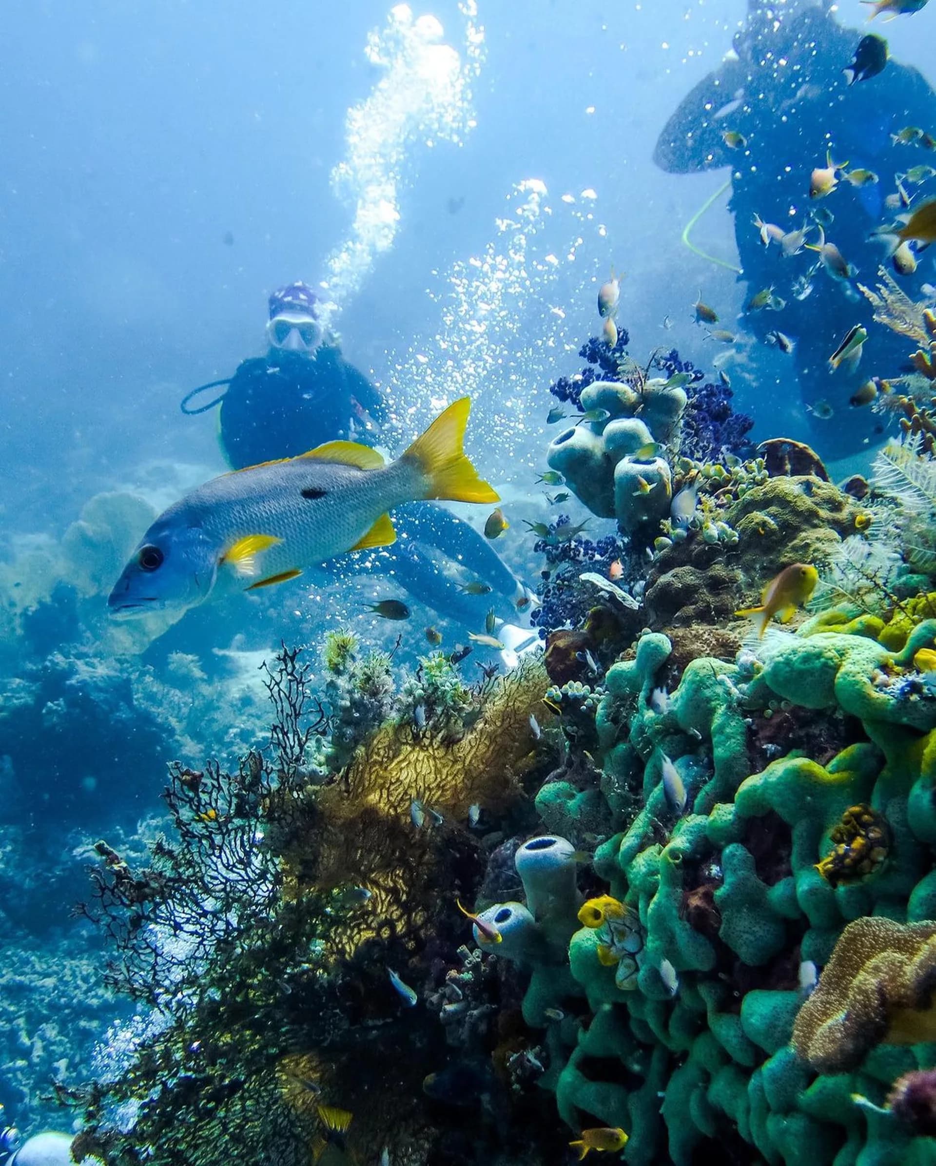 Batu Lima Dive Site