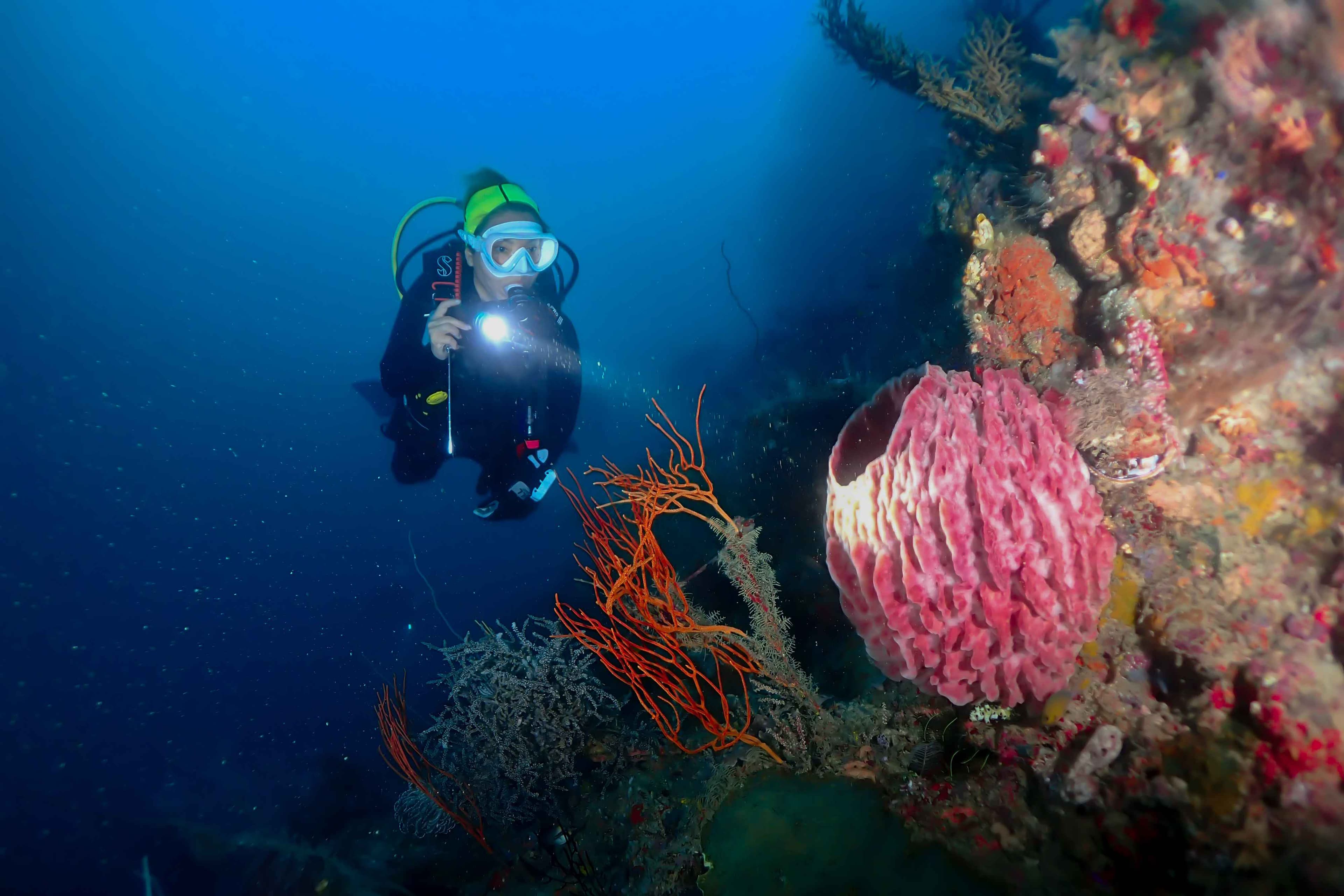 Raja Ampat Diving