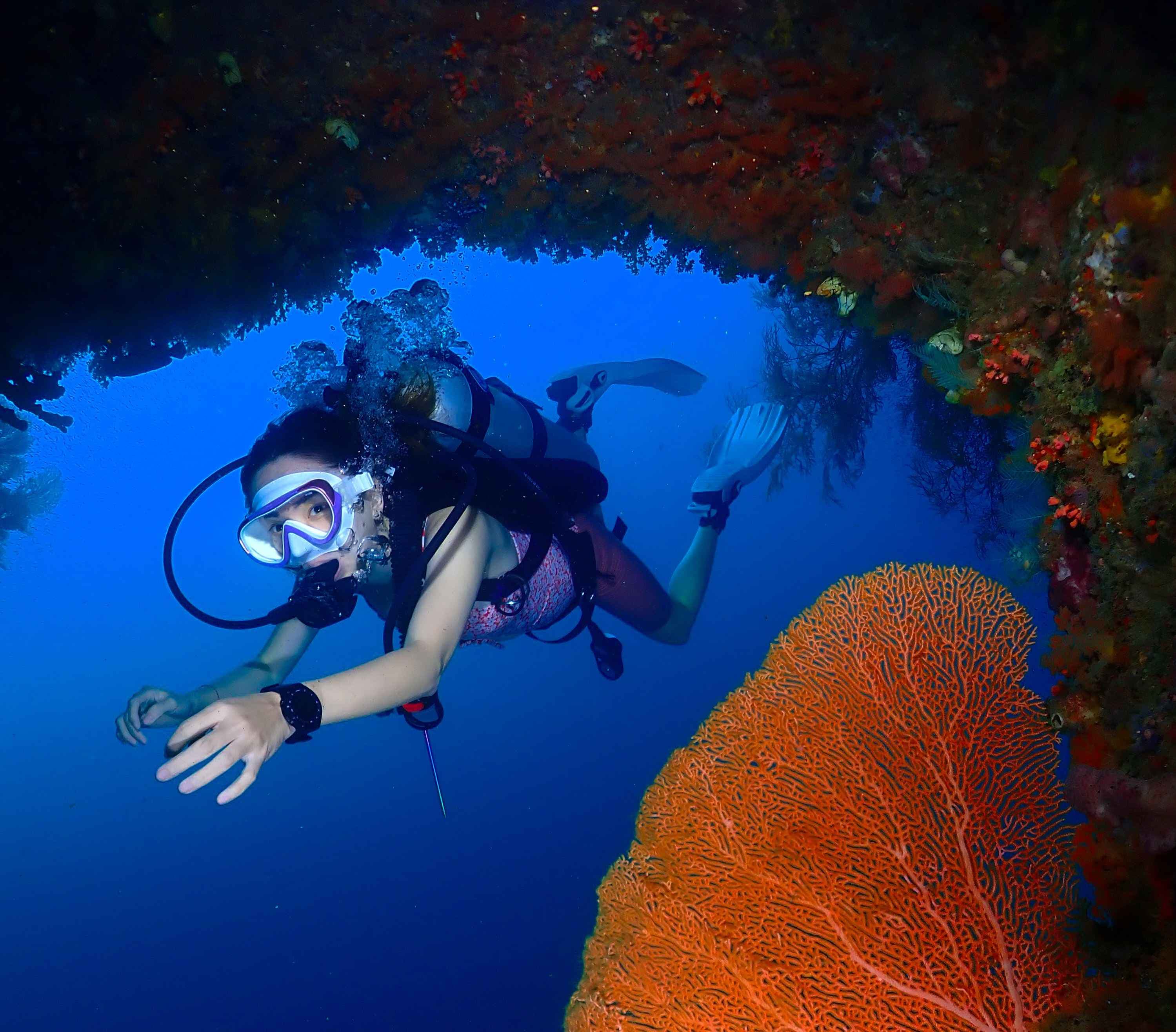 Raja Ampat Snorkeling